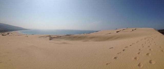 playa radikite